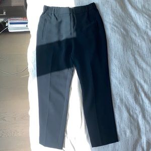 Aritzia Wilfred Pant